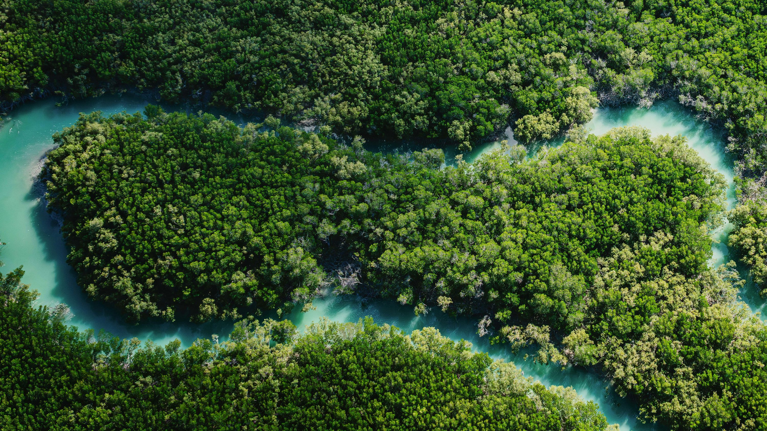 Gestão ambiental inteligente